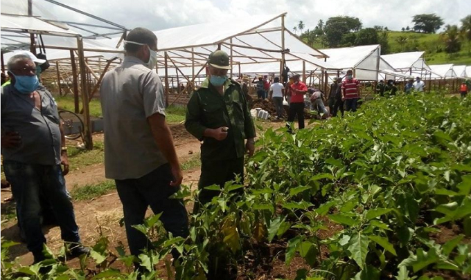 Agricultura Urbana tvsantiagopp